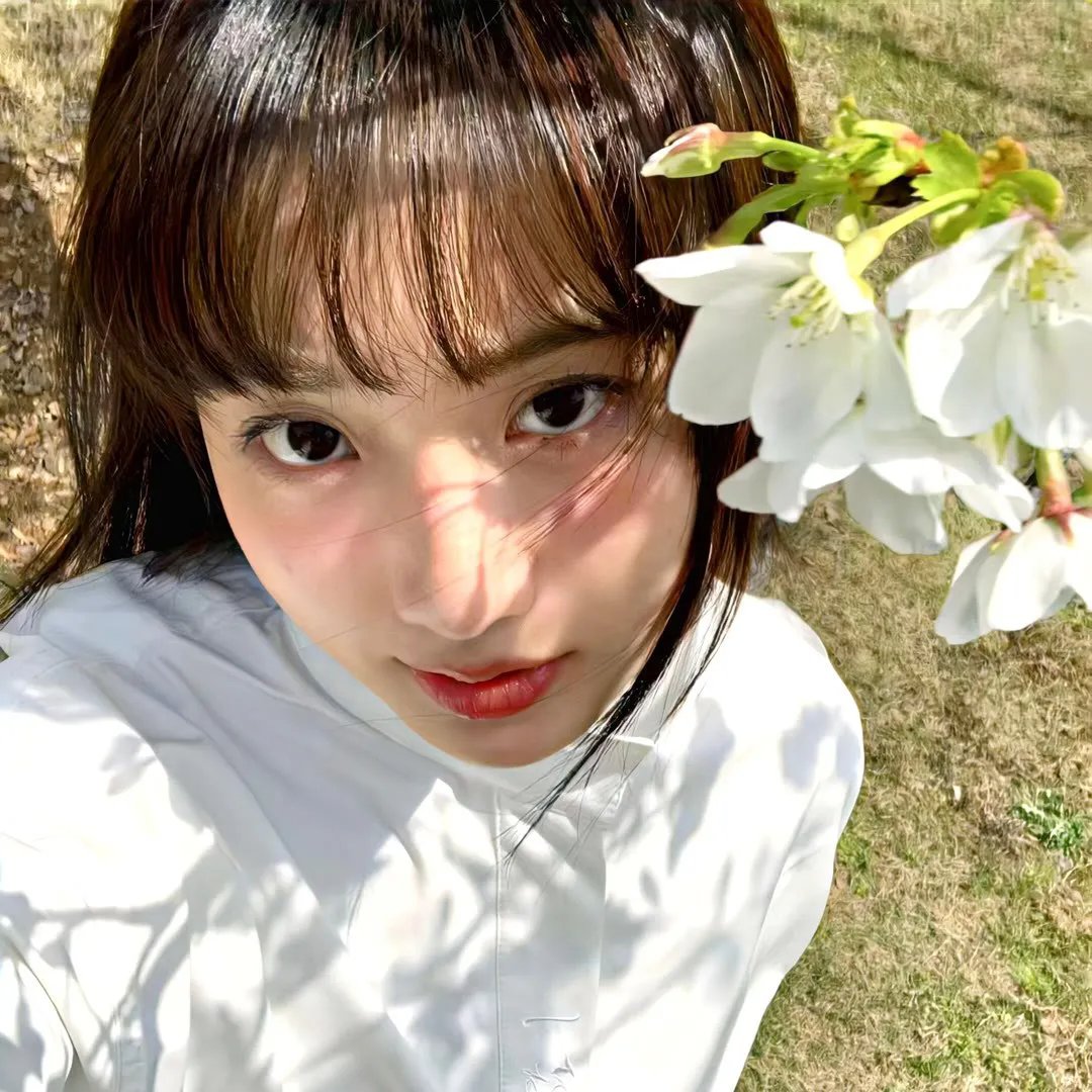 大获拳胜